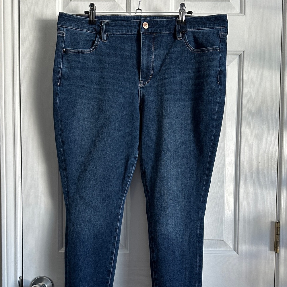 American Eagle Outfitters Dark Blue Women's Jeggings - 16 SHORT